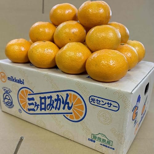 }G, ÉOPY, GMTCY, , pMtg{bNX, 8kg