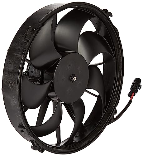 51XQs9CUObL.jpg