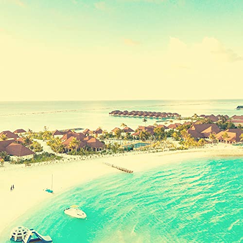 West Indian Steel Drums Ambiance for Feeling Irie di Attractive