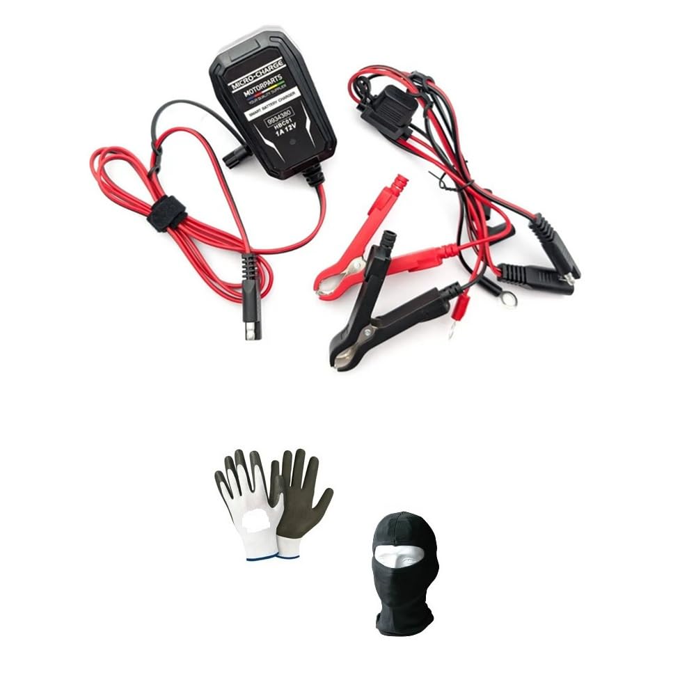 Chargeur de batterie pour moto scooter Maxiscooter charge batterie 6/12 V 20 W compatible avec gaz gaz randonne' 125 4T maintien de charge pour batteries 2/30 Ah ampères au plomb / AGM/GEL/STD