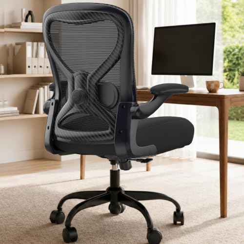 Office Desk Chair with Ergonomic Lumbar Support Ex Review