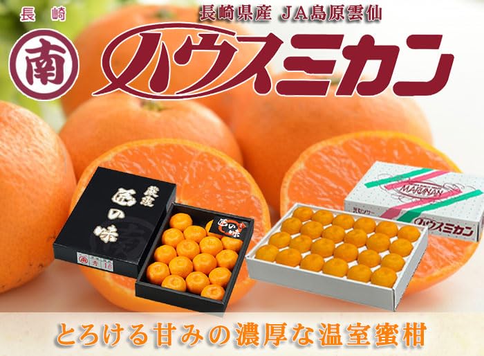 Amazon.co.jp: みかん 〇南 ハウスみかん 匠の味 13～21玉 1.3kg 糖度