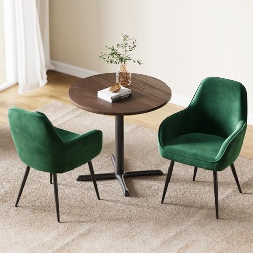 ELUCHANG Silla de Comedor Tapizada Terciopelo