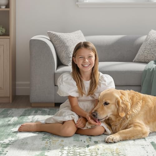Image of DCX Abstract Area Rug 8x10, Washable Sage Green Modern Rug for Living Room, Kid & Pet Friendly with Rubber Back Non Slip, Soft Low Pile Carpet, Stain Resistant Rug for Bedroom, Office, Dining Room