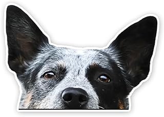 2pcs Peeking Australian Cattle Dog Vinyl Decal 5.91"x4.13", Alert Working Dog Sticker for Car, RV, Toolbox, Notebook, Ranch Lover Gift |#DK317