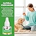 RAGOD Dog Calming Diffuser - Pheromone Dog Peeing Diffuser, 1 Plug in+ 1 Pack 45ml Trial Pack Dog Anxiety Relief Up to 30 Days