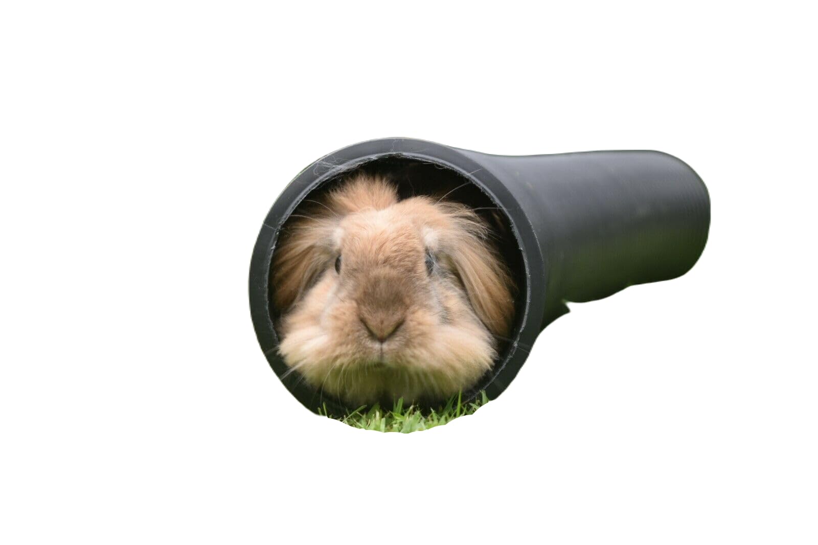 Pet Rabbit, Guinea Pig, Flexible 6 inch & 8 inch Diameter Runaround Play Tunnel (3ft Tunnel (6inch))