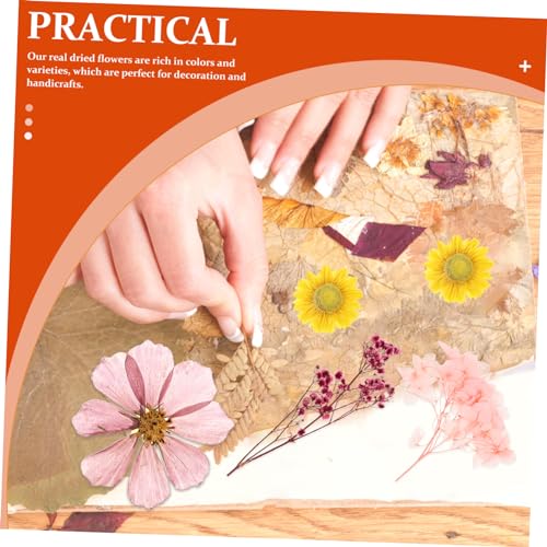 Kit de flores secas para decoración Alipis miniatura 6