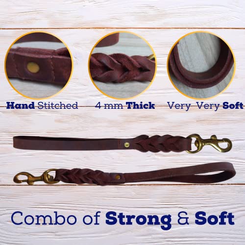 Leatherow Short Leather Dog Leash Usage