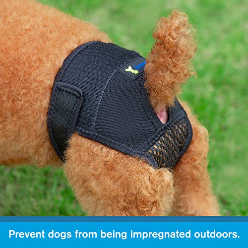Image of Reusable Female Dog Pants to Prevent Cross-Tailing, Washable Underwear for Dogs in Heat (L, Black)