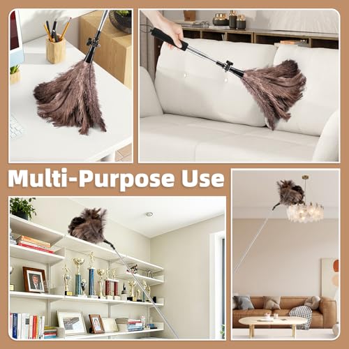 Image of Extendable Ostrich Feather Duster for Cleaning with 49 inch Rotatable Pole