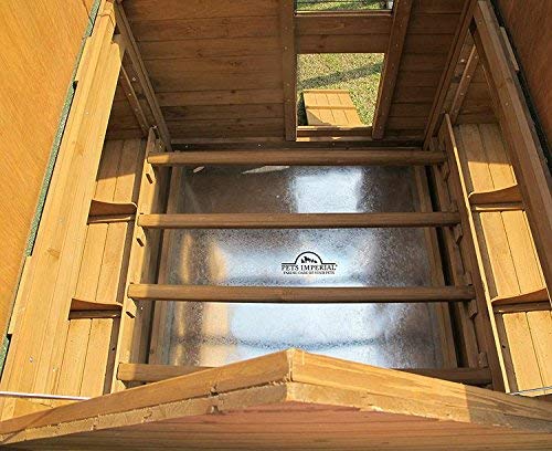 Pets Imperial® Savoy Hühnerstall mit Doppelnistkasten - 6 einzelne Nistplätze - 150 cm (B) x 100 cm (T) x 96 cm (H) – Bild 8