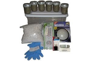 Beginners Essential 6 Jars Complete Shroom Growing Kit - Full Cultivation Journey