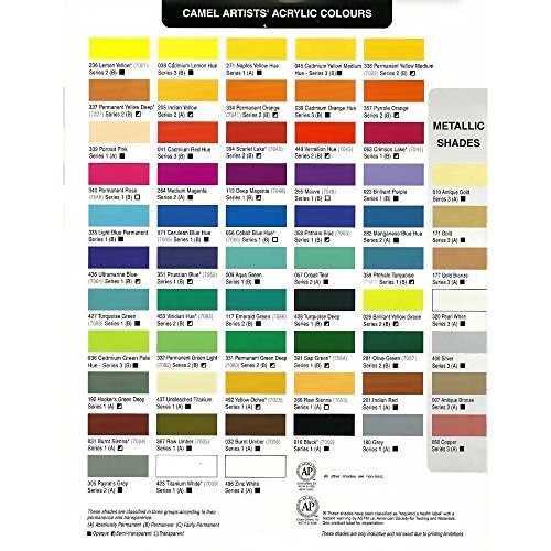 6% OFF on Camlin Kokuyo Artist Acrylic Colour 120 ml Series 3 Silver 6% OFF on Camlin Kokuyo Artist Acrylic Colour 120 ml Series 3 Silver