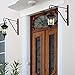 Amagabeli Hanging Plants Bracket 12'' Wall Planter Hook Flower Pot Bird Feeder Wind Chime Lanterns Hanger Patio Lawn Garden for Shelf Shelves Fence Screw Mount against Door Arm Hardware