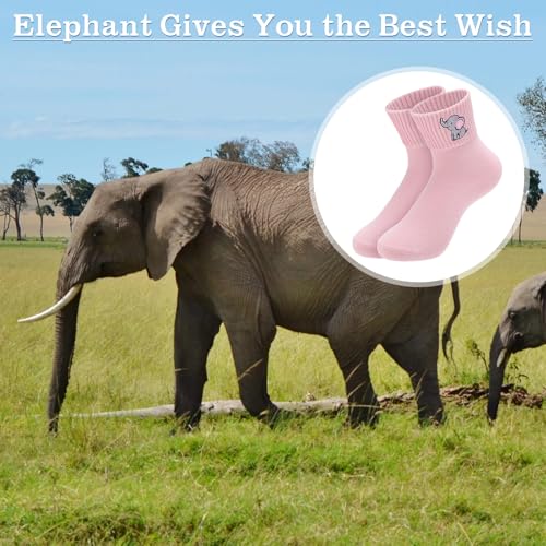 Image of Eurzom 10 Pairs Socks Womens Crew Elastic Ankle Length Cotton Socks Aesthetic Cute Lightweight Low Cut Gifts for Women