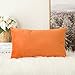 MIULEE Terciopelo Funda de Cojine Funda de Almohada del Sofá Throw Cojín Decoración Almohada Caso de la Cubierta Decorativo Almohadas para Sala de Estar 30x 50cm 12 x 20 Pulgadas 1 Pieza Naranja