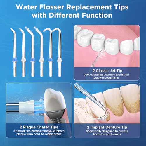 Image of Replacement Tips for Waterpik, Water Flosser Replacement Heads Parts for Waterpik Oral Irrigator(2 Classic Jet Tips + 2 Plaque Chaser Tips + 2 Implant Denture Tips + Storage Case Combo)