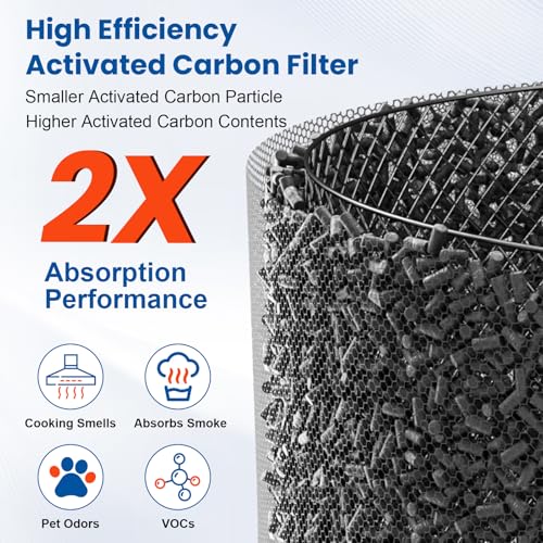 Image of 2 PACK HAP603 Replacement Filter for ECOSELF HAP603 HAP603WF Air Purifier