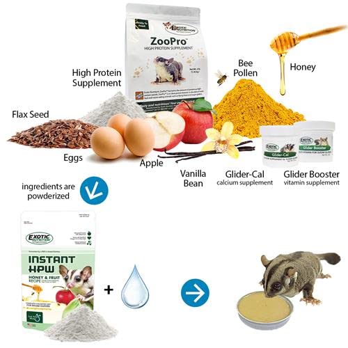 Amazon.com : Brisbane Cage & Starter Package for Sugar