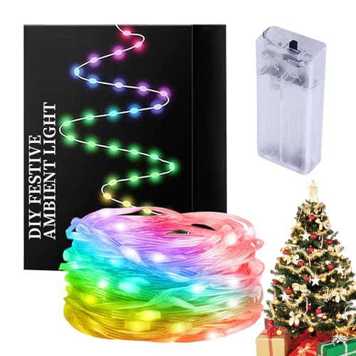 Luzes de corda de fadas para exteriores, Luzes de corda LED para exteriores,Luzes inteligentes inter