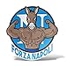 erreinge Sticker Forza Napoli Football Supporter Ultras Shaped adhésif Autocollant PVC pour Mur Murale Auto Moto Casque Camper pour Ordinateur Portable - 15 cm