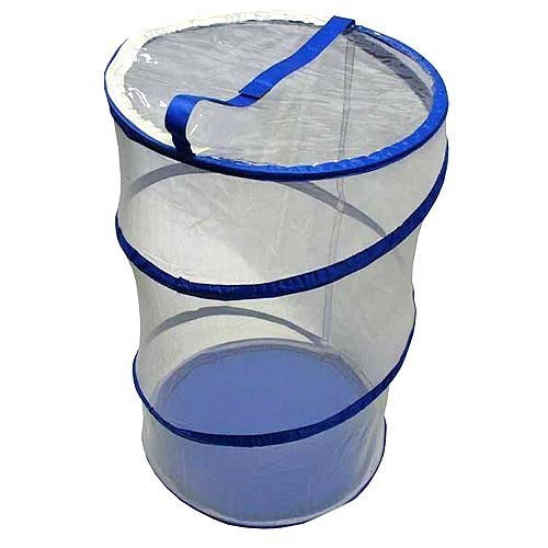 Pop-Up Butterfly Habitat