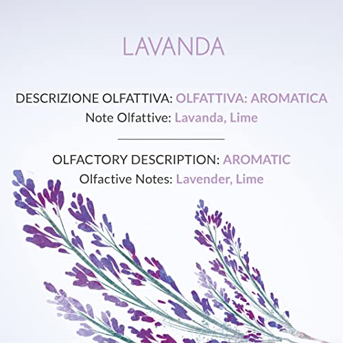 Difusor para hogar aroma Lavanda 1L miniatura 3