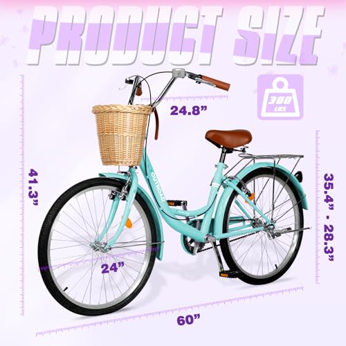 Max4out 24 Inch Comfort Bike