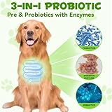 jollifish Probiotic for Dogs, 3 in 1 Prebiotics Drops with Enzymes for Skin & Coat Support, Supports Digestive Function & Immune Function, Pet Supplements Liquid Probiotic - 60 ml - Image 3