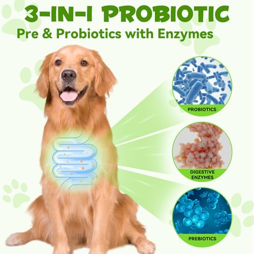 Probiotic for Dogs, 3 in 1 Prebiotics Drops with Enzymes for Skin & Coat Support, Supports Digestive Function & Immune Function, Pet Supplements Liquid Probiotic - 60 ml - Image 4