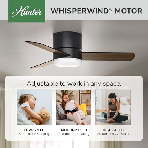 Image of Hunter Minimus, Indoor, Ceiling Fan, with LED Light, 44 inch, Matte Black