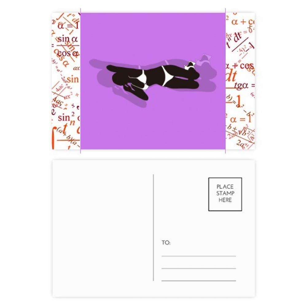Cartes postales Violet Plump Femmes Kneel DIYthinker à offrir - 4
