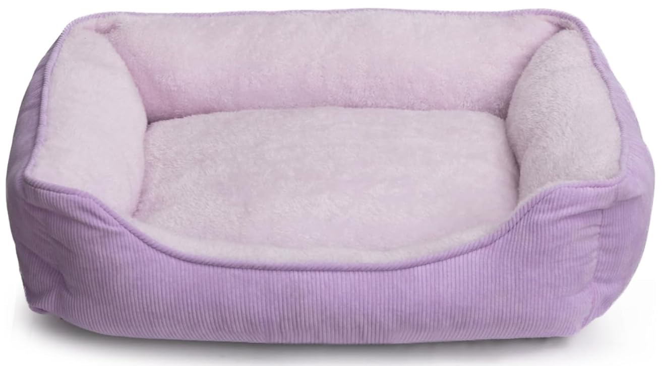 Lit pour chat et chiot respirant avec lit coussin doux et dehoussable