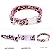PAWZ Road Leopard Pet Leash Collar Harness Set Pink S