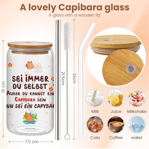 AuraFusion Capybara Sachen – 16oz, Lustiges Capybara Design, Glasbecher, Frauen, Spülmaschinenfest