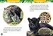National Geographic Kids 5-Minute Baby Animal Stories (5-Minute Stories)