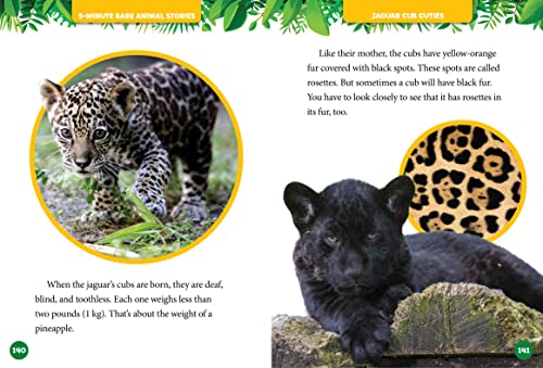 National Geographic Kids 5-Minute Baby Animal Stories 5 51XRcd1OhdL
