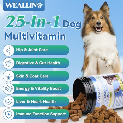 Dog-Vitamins-25-In-1-Dog-Vitamins-and-Supplements-Multivitamin-For-Dogs-With-Glucosamine-Probiotics-Omega-3-Dog-Multivitamin-Chewable-For-Coat-Heart-Hips-Joints-Digestion-Immune-System-200pcs Dog Vitamins 25 In 1 Dog Vitamins and Supplements Multivitamin For Dogs With Glucosamine Probiotics Omega 3 Dog Multivitamin Chewable For Coat Heart Hips Joints Digestion Immune System 200pcs