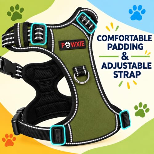 Image of No Pull Dog Chest Belt Harness, Adjustable, Comfortable & Secure Fit (Olive Green, S(5-13KG PET))