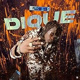  Dique
