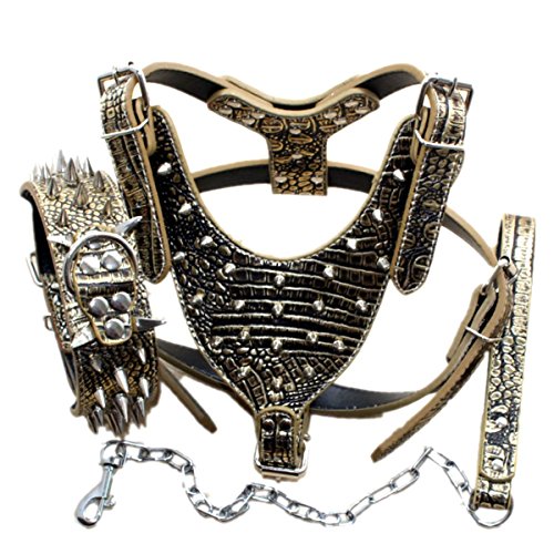 Haoyueer Leather Sharp Spiked Studded Dog Collars, Harnesses & Chain Leashes 3Pcs Matching Set for Medium & Large Dog Pit Bull,Mastiff, Boxer, Bull Terrier