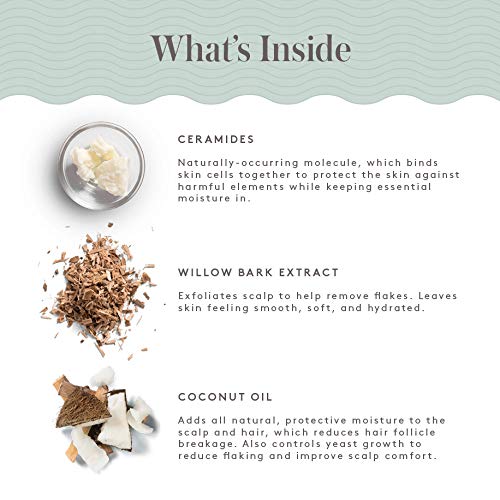 Livso Moisturizing Lotion - Dermatologist Created - Moisturizes Hair & Scalp - Naturally Derived - Fresh Feel - Clinically Proven & Effective (1 Bottle) #TOP3