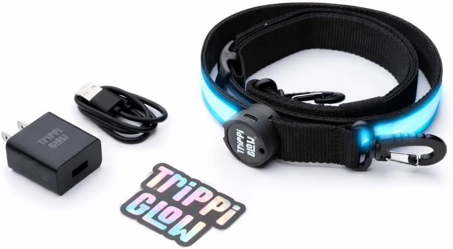 LED Fiber Optic Bag Strap – Reflective Light Strap for Packs, Backpacks, Crossbody & Travel Accessories