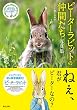 セール中のKindle本26：ピーターラビット™の仲間たち 写真集