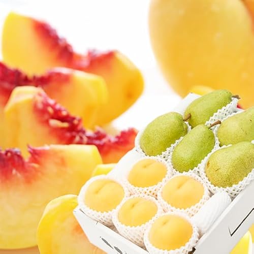 R`̉ʎ 2Flߍ킹 BZbg (Gi/FR`YEmFR`Y/①i) hV̓    m  Mtg 蕨 ʕ t[c 