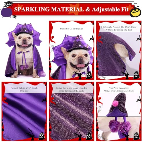 Disfraz de Bruja para Perro Pequeño Halloween Talla S miniatura 3
