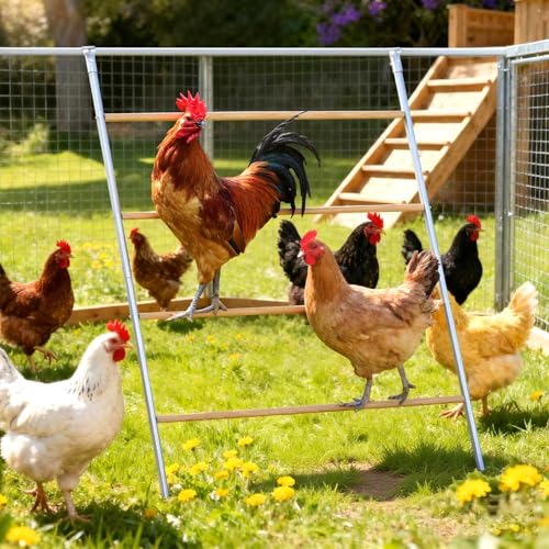 ANNDING Large Chicken Roosting Bars 55 Inch Chicken Perch for Coop with Metal Frame Sturdy Roosting Ladder for Hens Chicken Coop Accessories and Toys for Backyard Poultry Easy to Clean