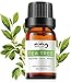 Produktbild Teebaumöl Bio Anti Pickel 100% Naturrein Teebaum Öle gegen Herpes/Rötungen Acne Serum Anti Akne Ätherisches Öl