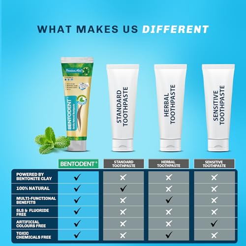 Image of Bentodent Remineralizing Food Grade Organic Calcium Bentonite Clay Toothpaste Fluoride Free Natural Toothpaste for Adult & Kids - Mineral Toothpaste Sensitive Teeth Whitening (Premium Mint)